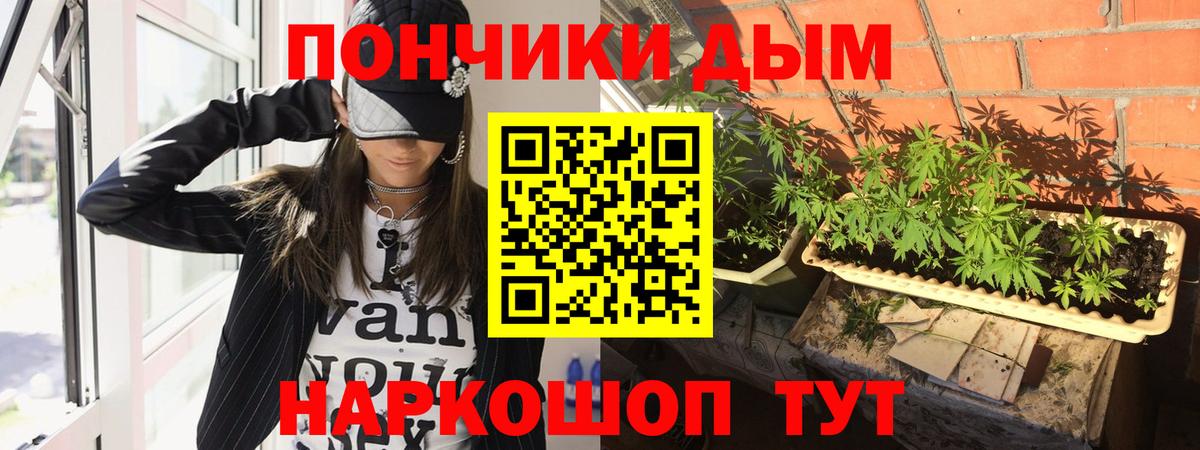 Бошки Шишки семена Петропавловск-Камчатский